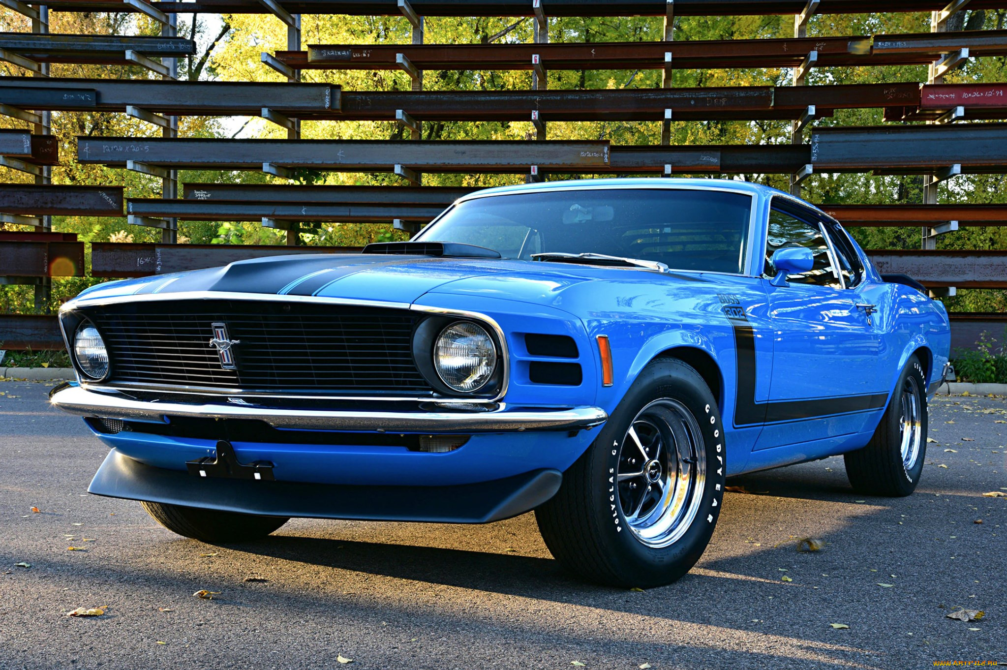 , mustang